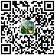 the qr code